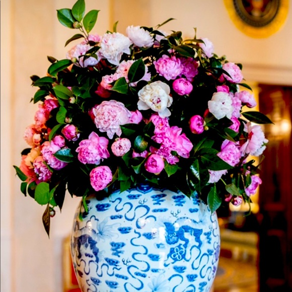 Meet your Posher, Jill - Picture 1 of 1